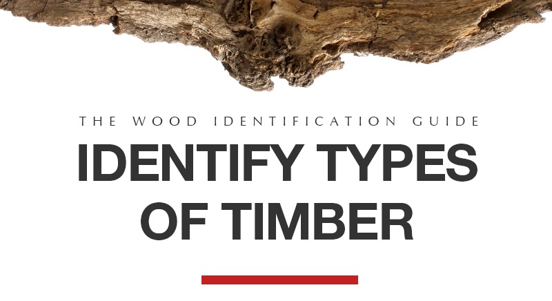 Timber Identification Guide