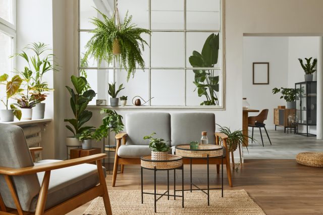 How to incorporate nature to brighten a room with dark wood furniture