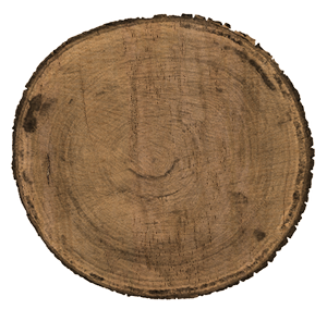 timber-marri