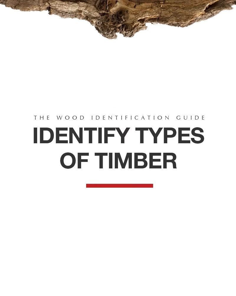 The Wood Identification Guide : Identify Types of Timber