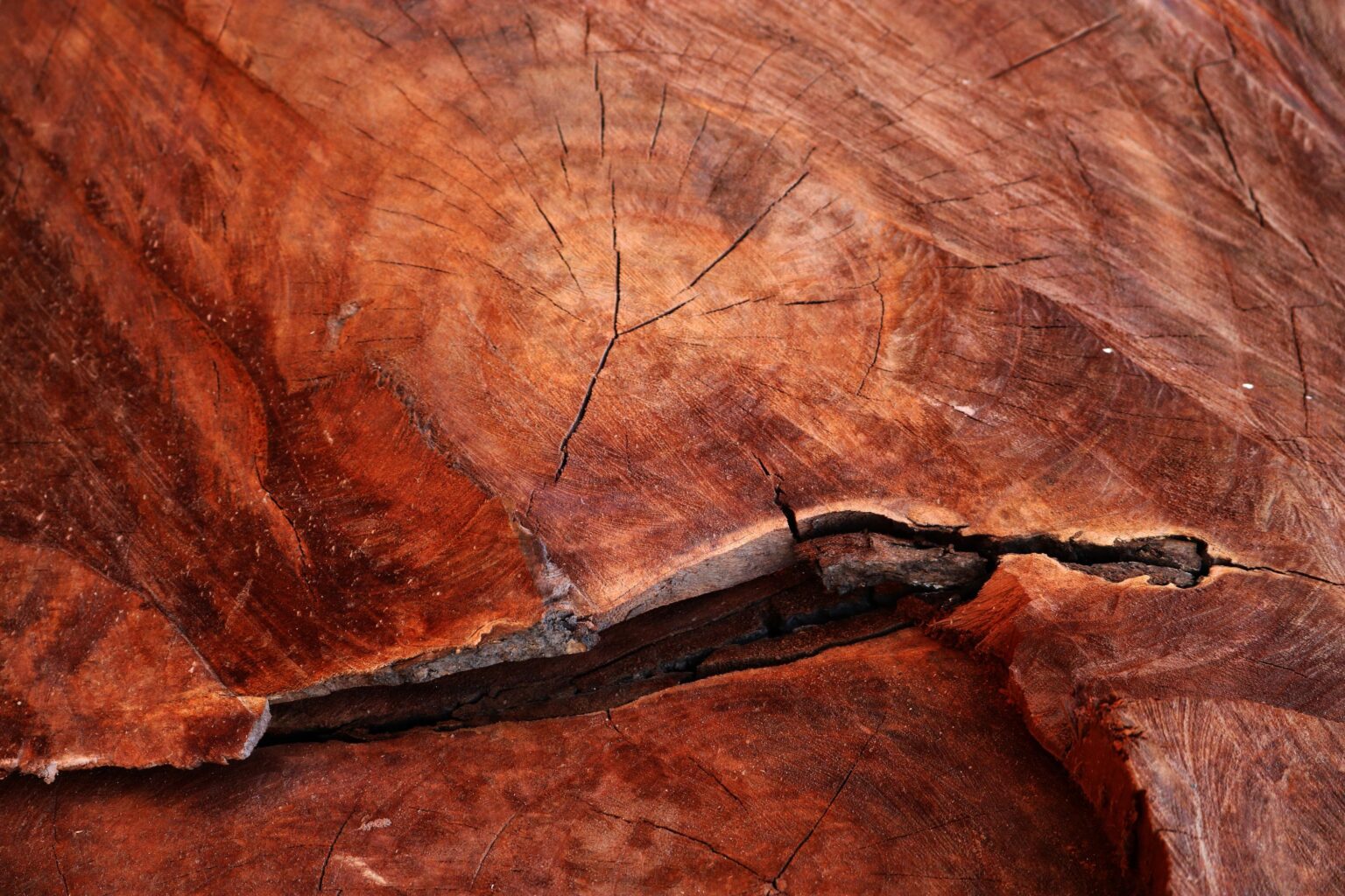What Is Jarrah Timber? Characteristics, Uses & Value - Jarrimber