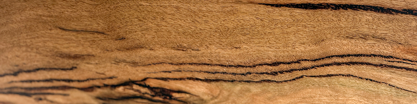 Timber Choice_Marri.jpg